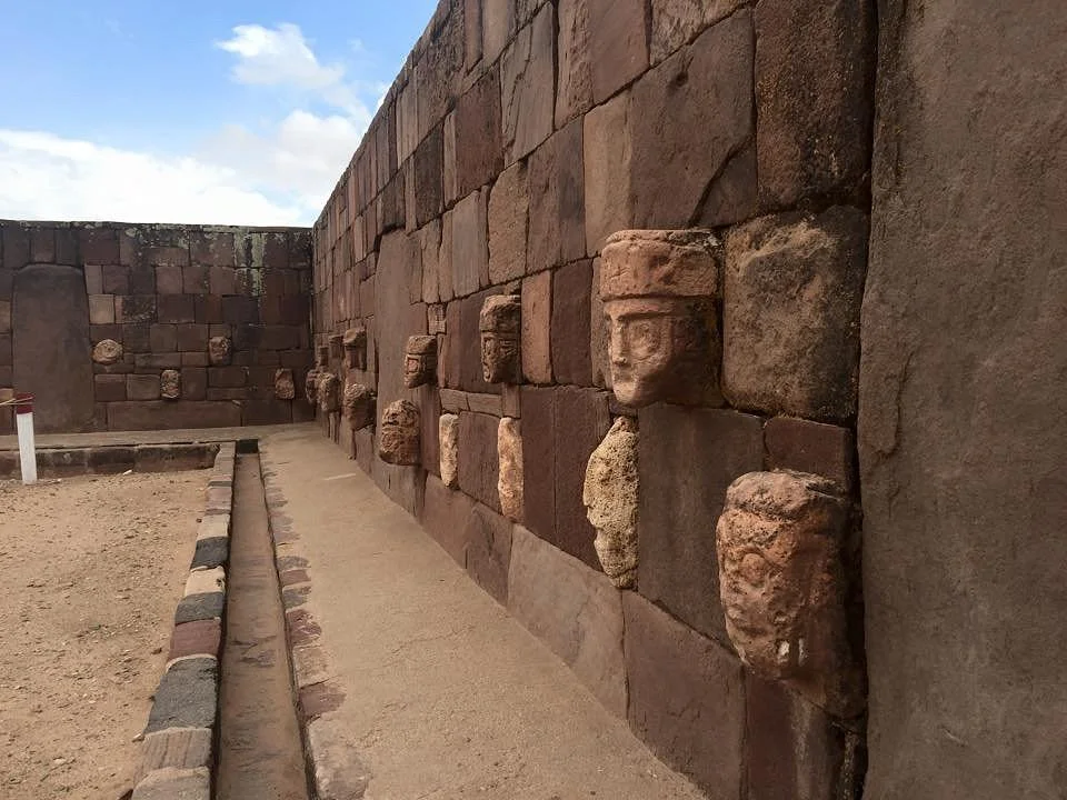 Buhos Tours
