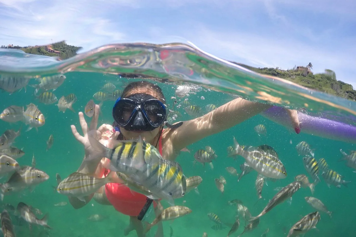Free Diver