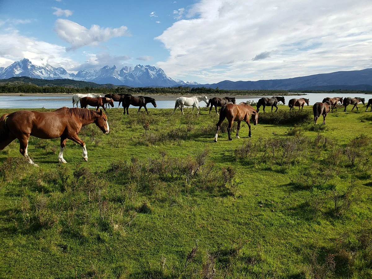 Cimarron Travel - Horse riding & more!