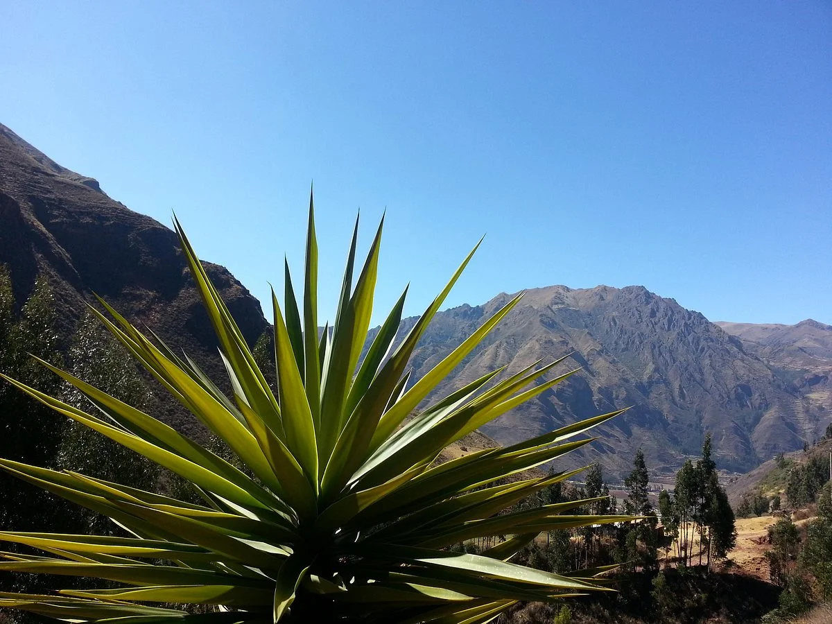 Qeros Tours Peru - Day Tours
