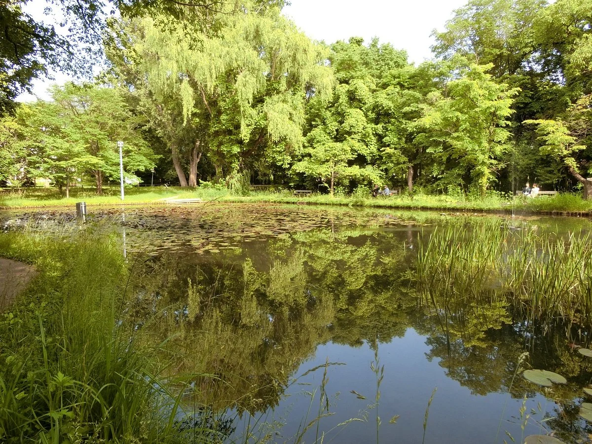 Hokkaido University Ono Pond