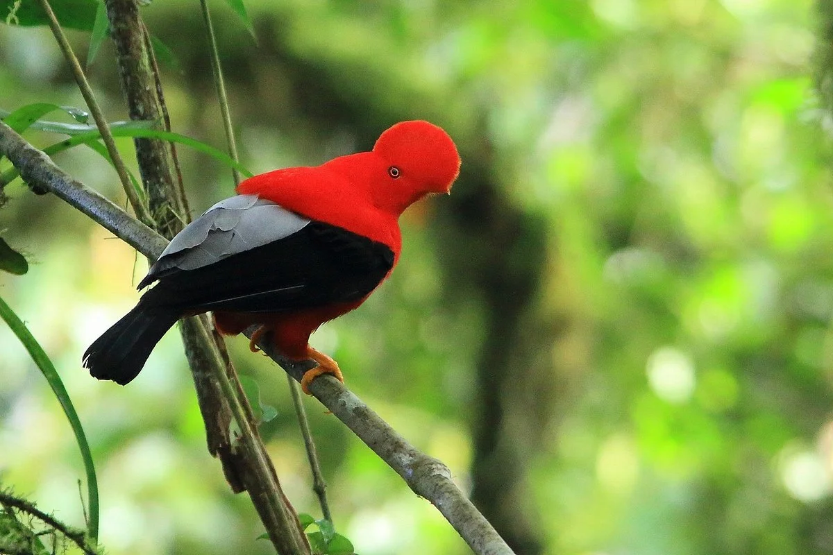 Ecotraveler Ecuador