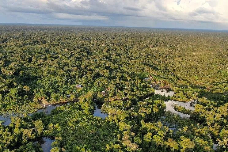 Jungle Tours: Ayahuasca & Kambo Retreat Center