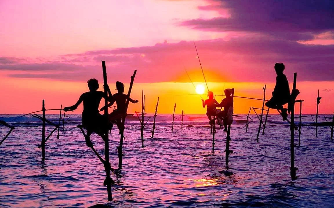 Stilt Fishermen Sri Lanka