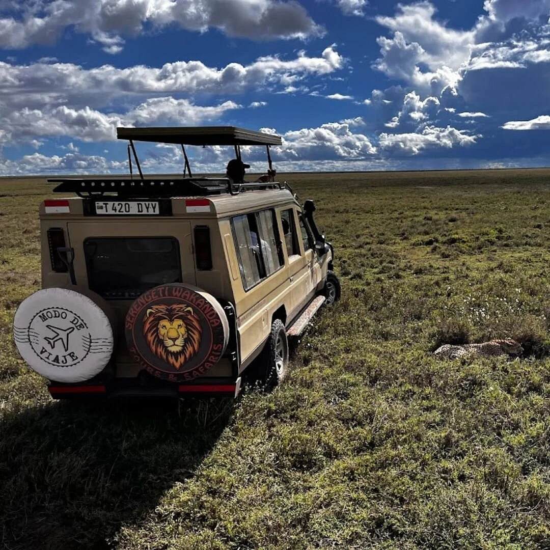 Modo De Viaje