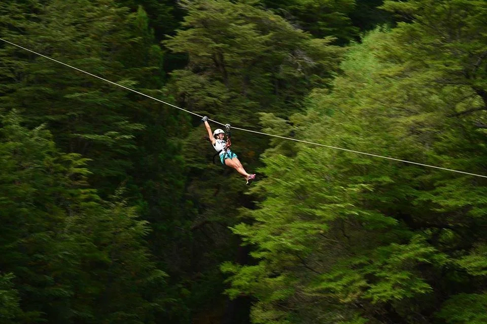 Patagonia Canopy Tour