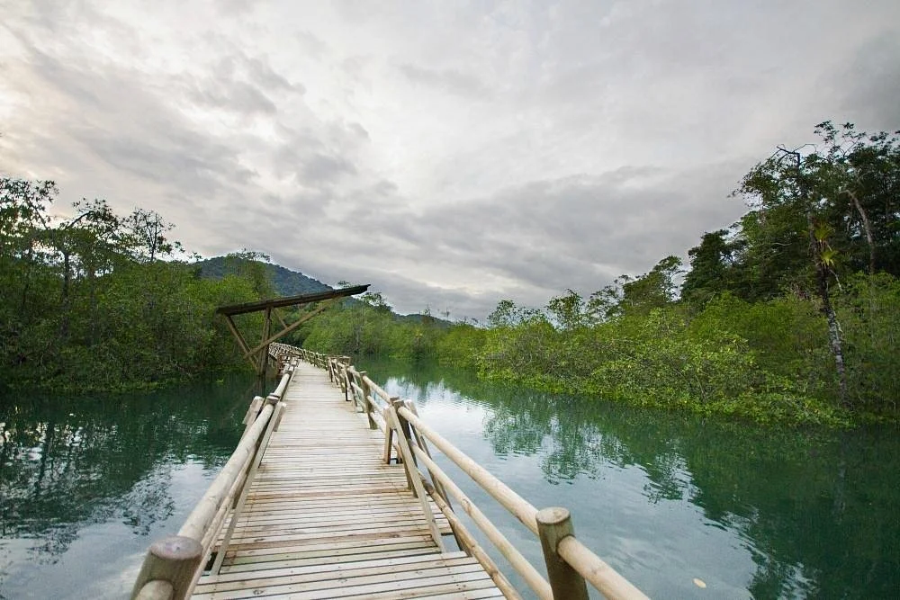 Parque Nacional Natural Utria