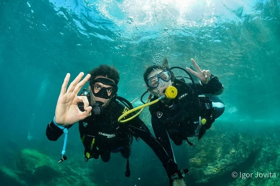 Dive Root's
