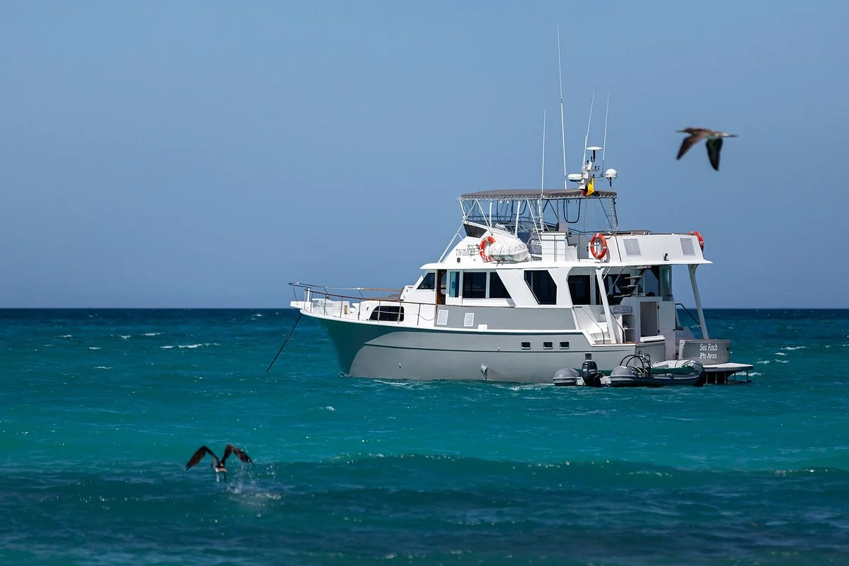 Yacht Sea Finch