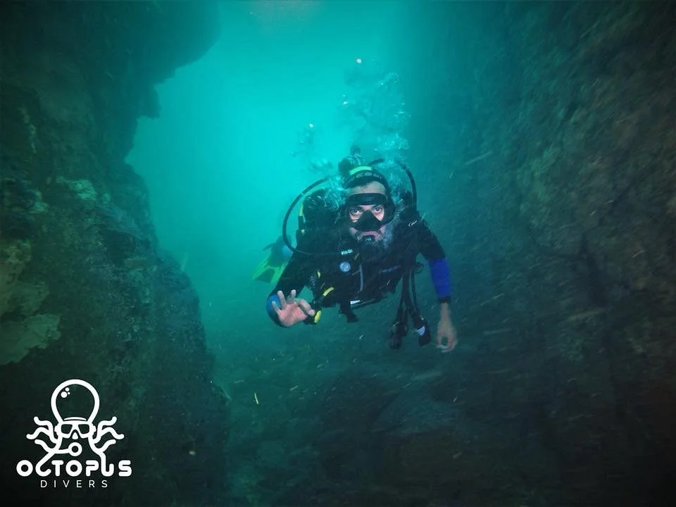 Octopus Divers