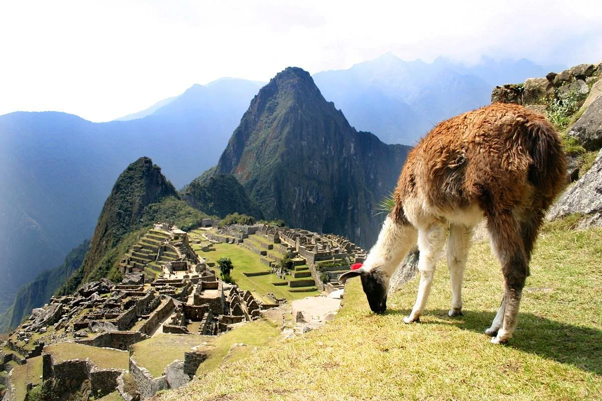 Machupicchu USA
