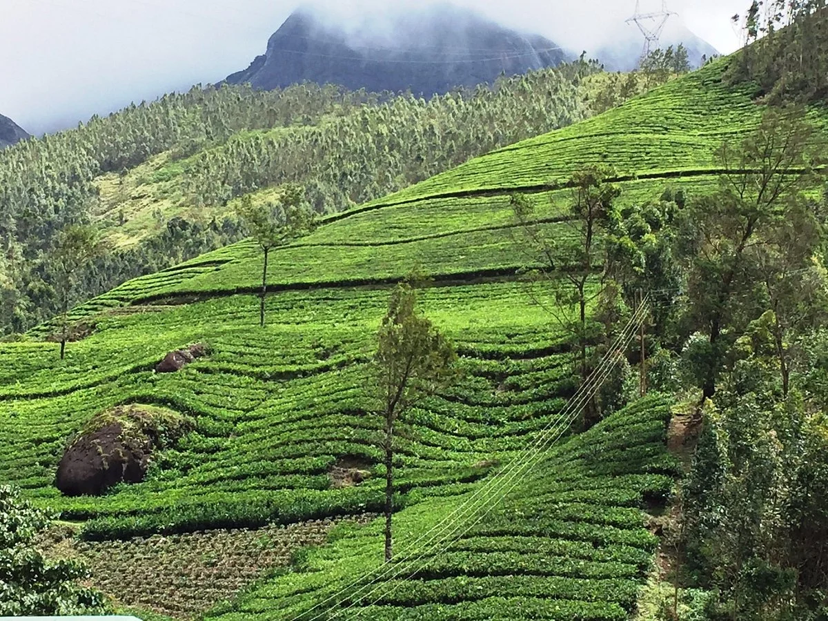 Kannan Devan Tea Museum