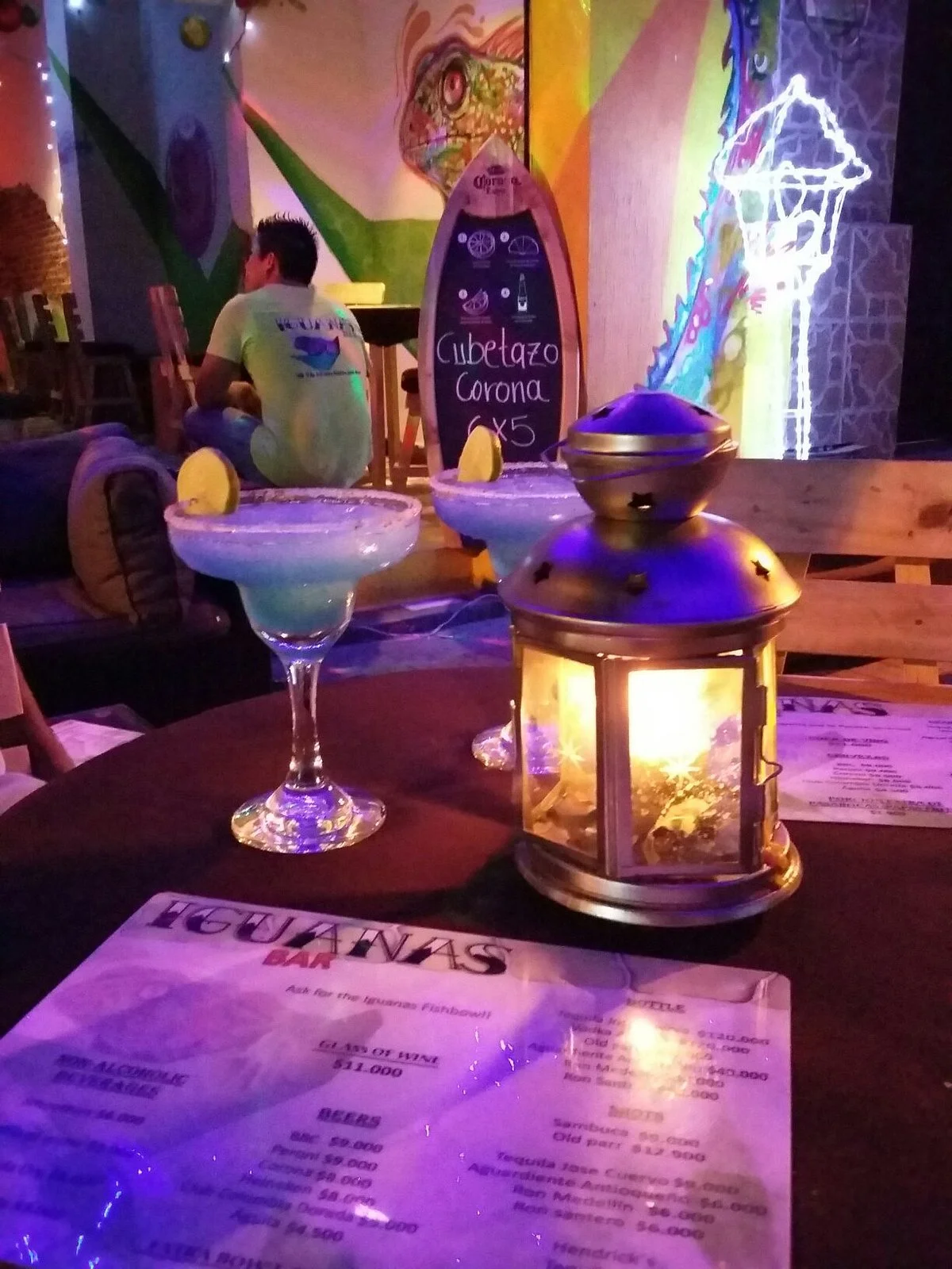 Iguanas Santa Marta