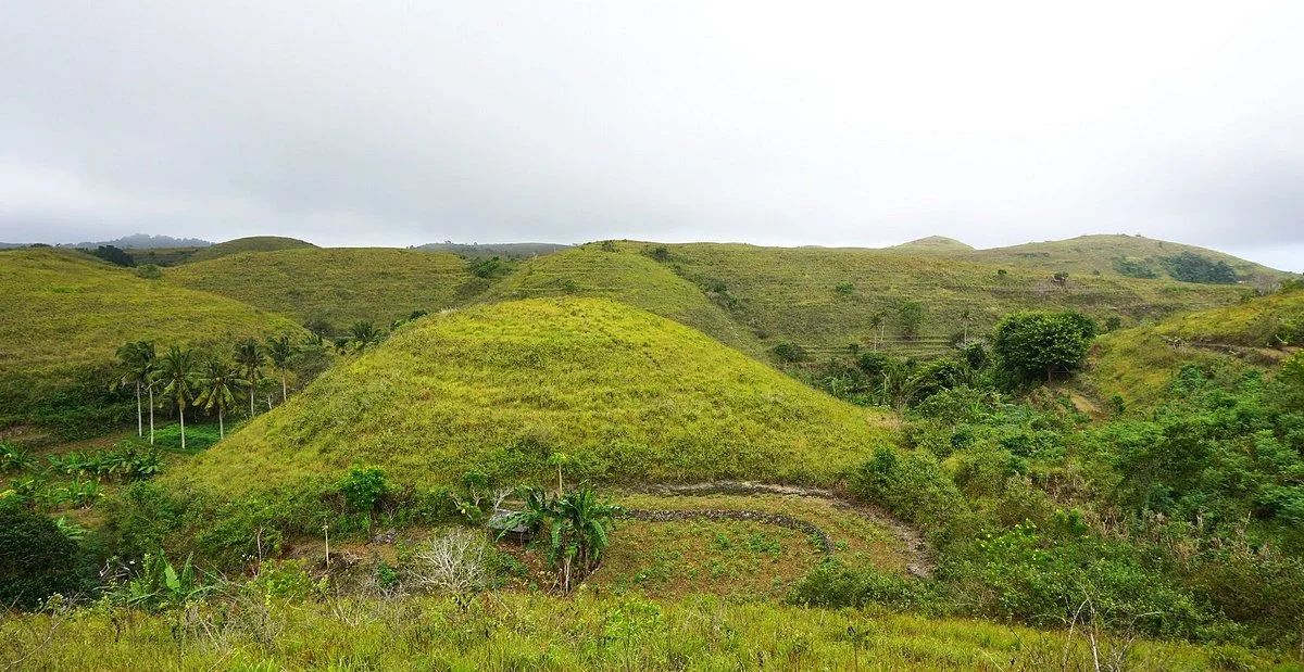 Teletubbies Hill