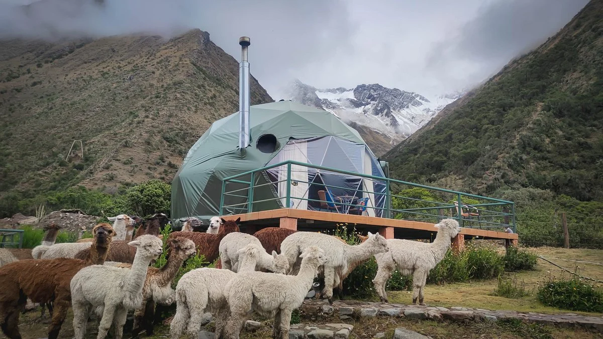 Bioandean Expeditions