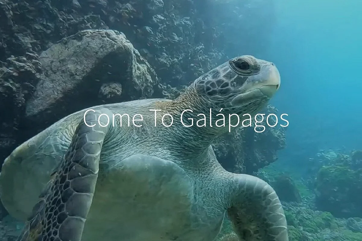 Come To Galápagos