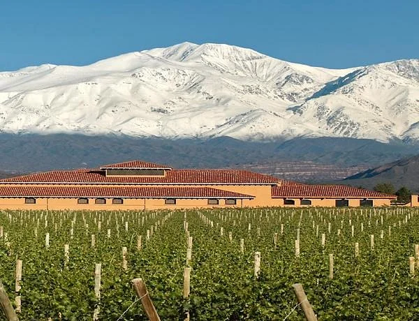 Mountains and Wine