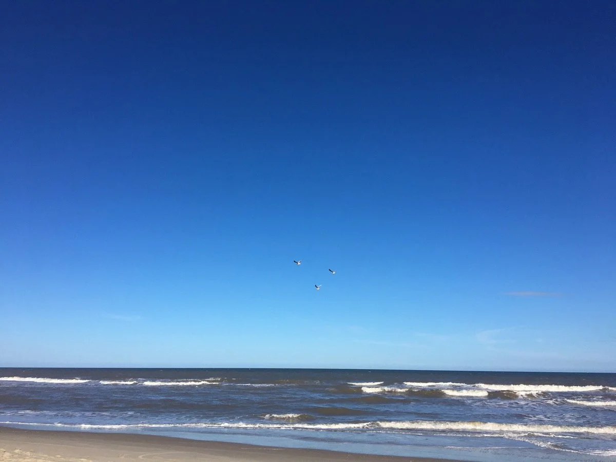 Praia do Hermenegildo