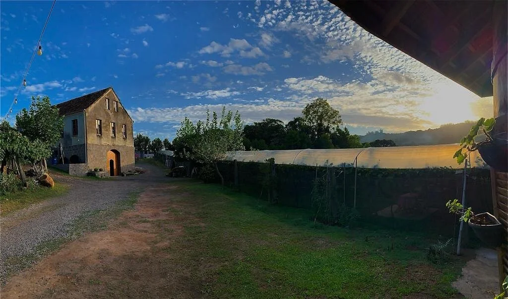 Vinícola Videiras Carraro