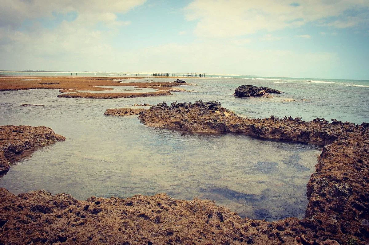 Caboco Sonhado