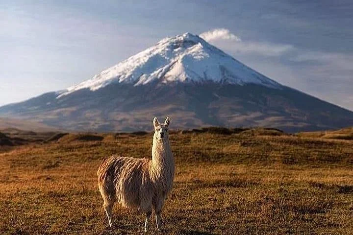 El Barak Ecuador Travel