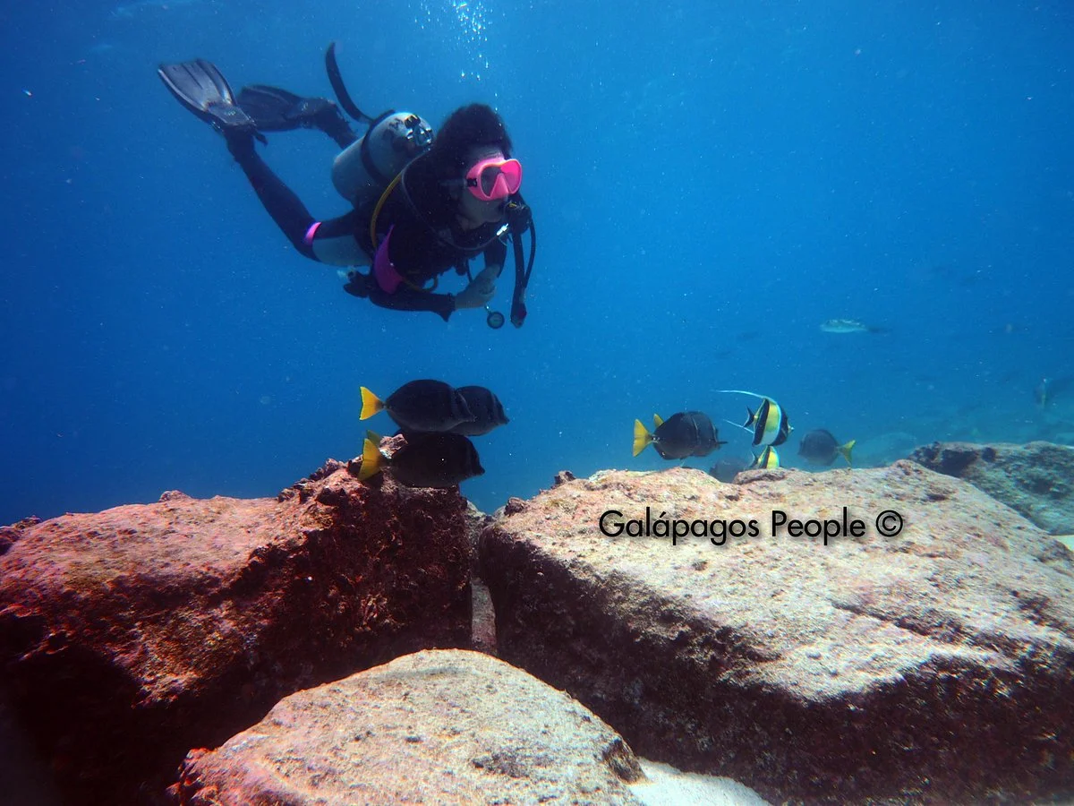 Galapagos People Diving
