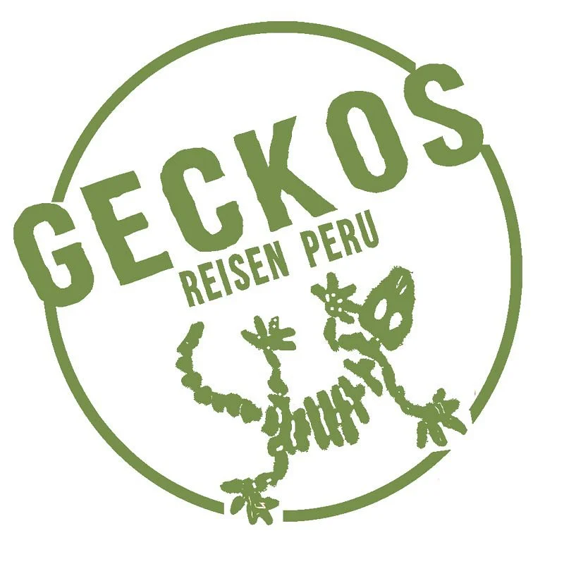 Geckos Reisen Peru