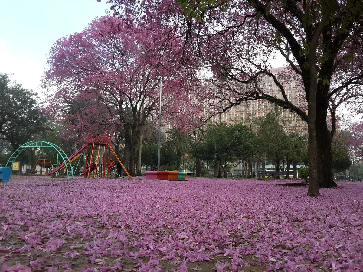 Plaza 25 de Mayo