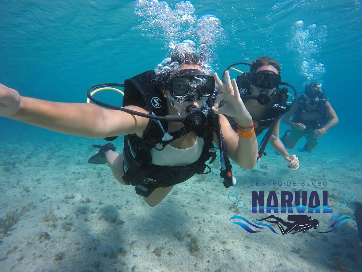 Centro De Buceo Narval