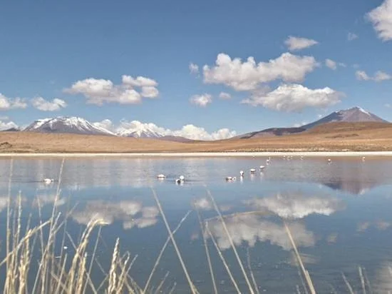 Expediciones Empexsa Day Tours