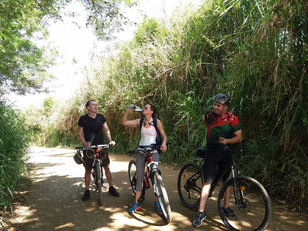 Mountour Bike