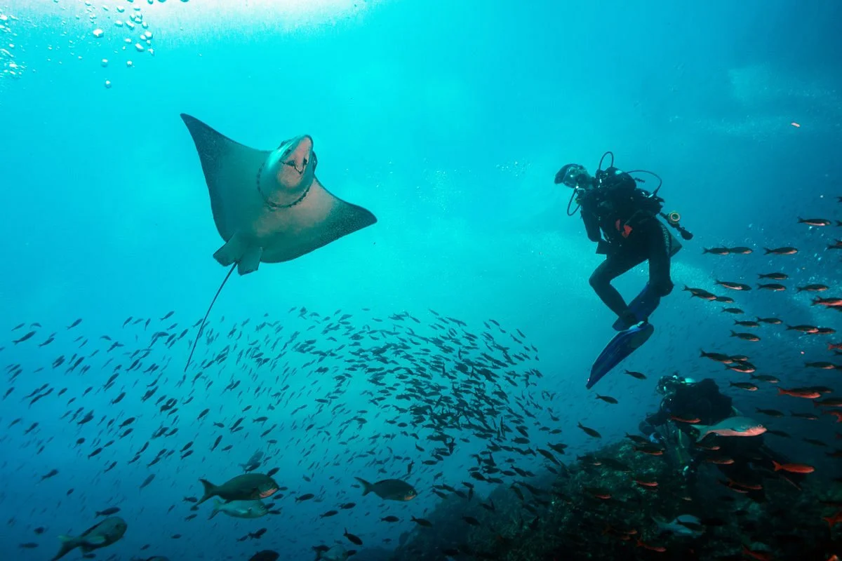 Aquatic Expeditions