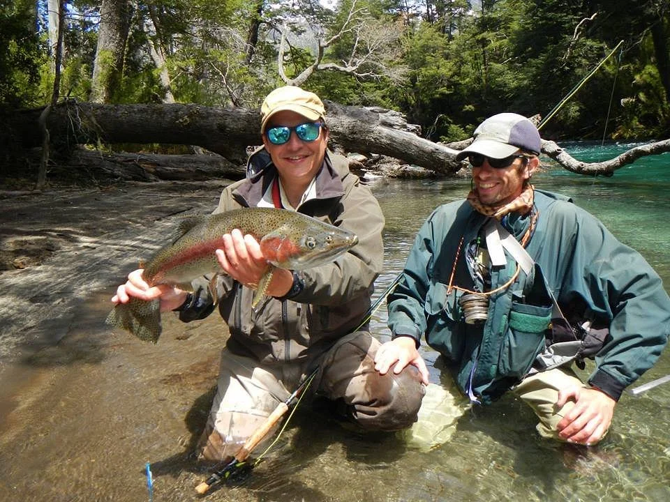 Cordillera Fly