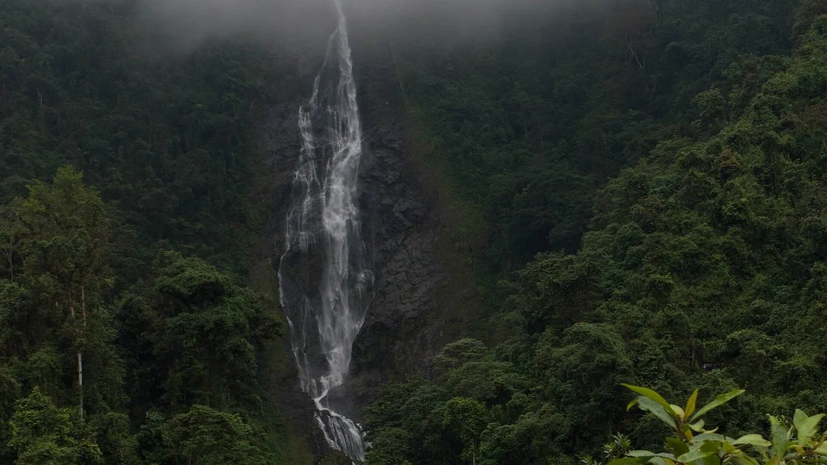 Parque Ecoturístico La Plata Ibagué Tolima