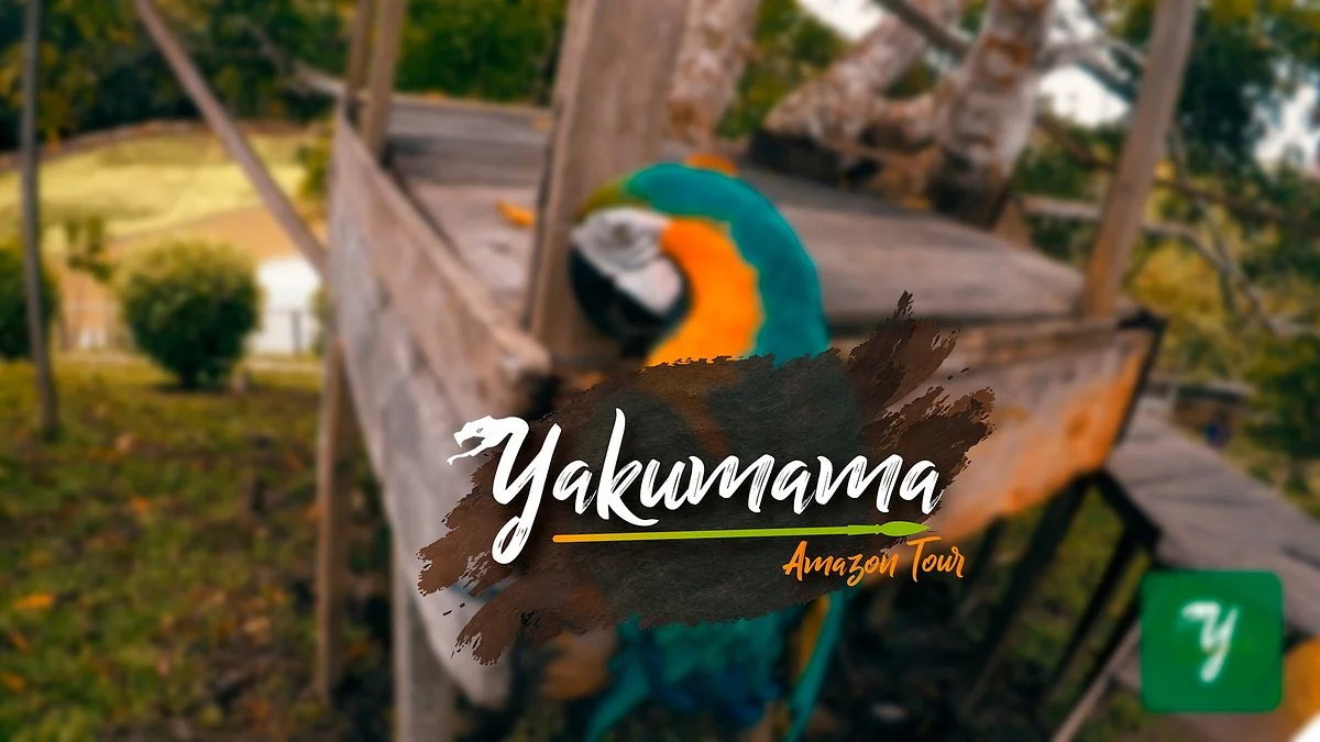 Yakumama Amazon Tours