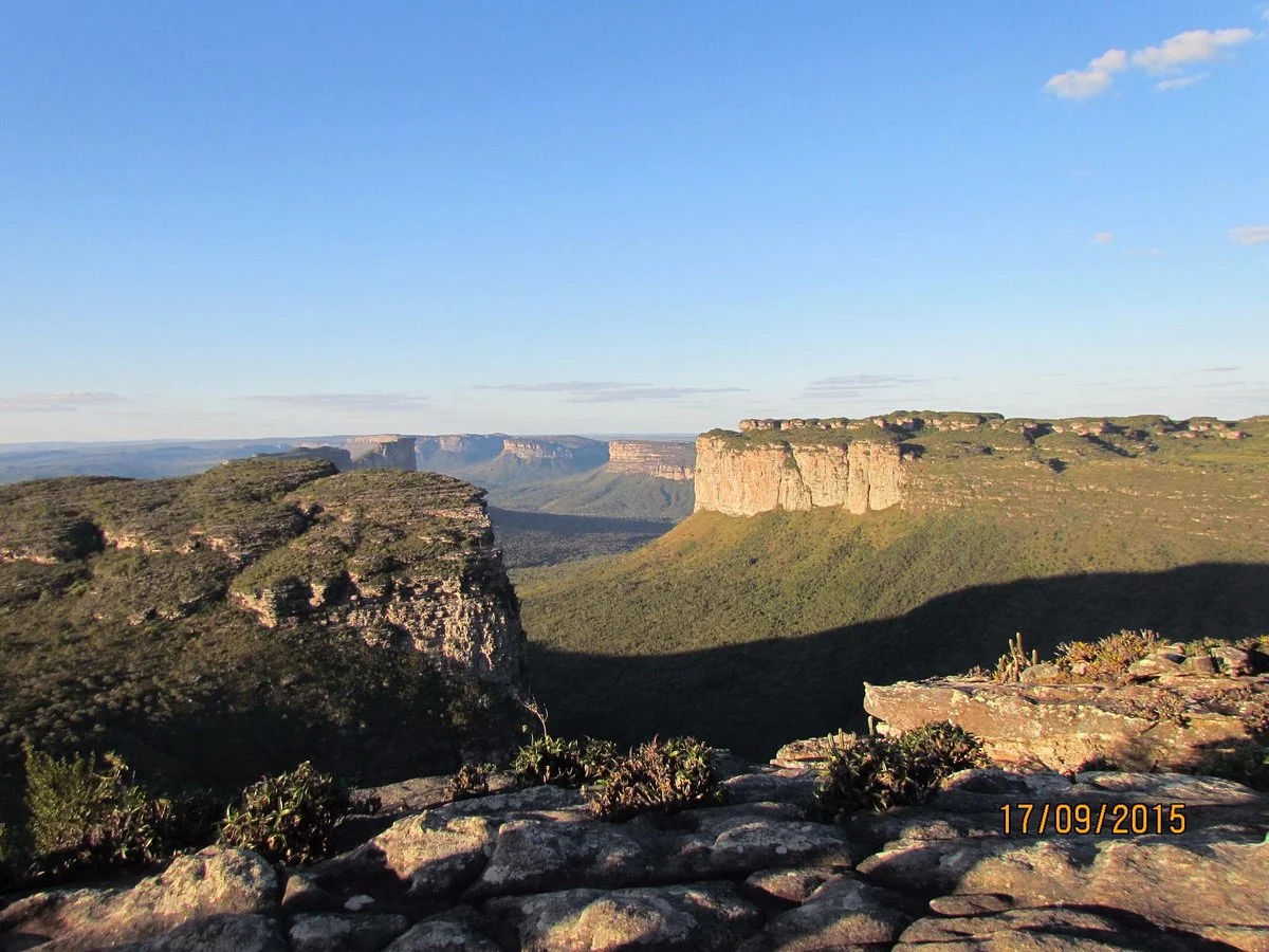 Ecotur Day Tours