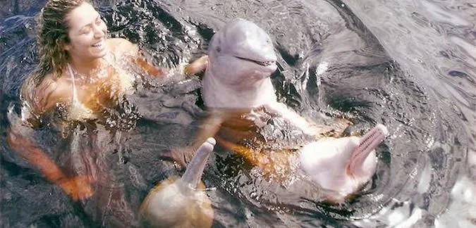 Amazon Wildlife Tours