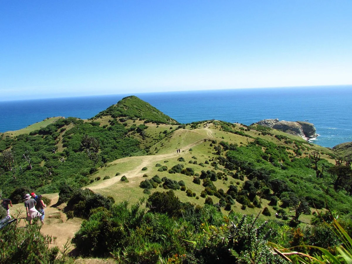 Punta Pirulil