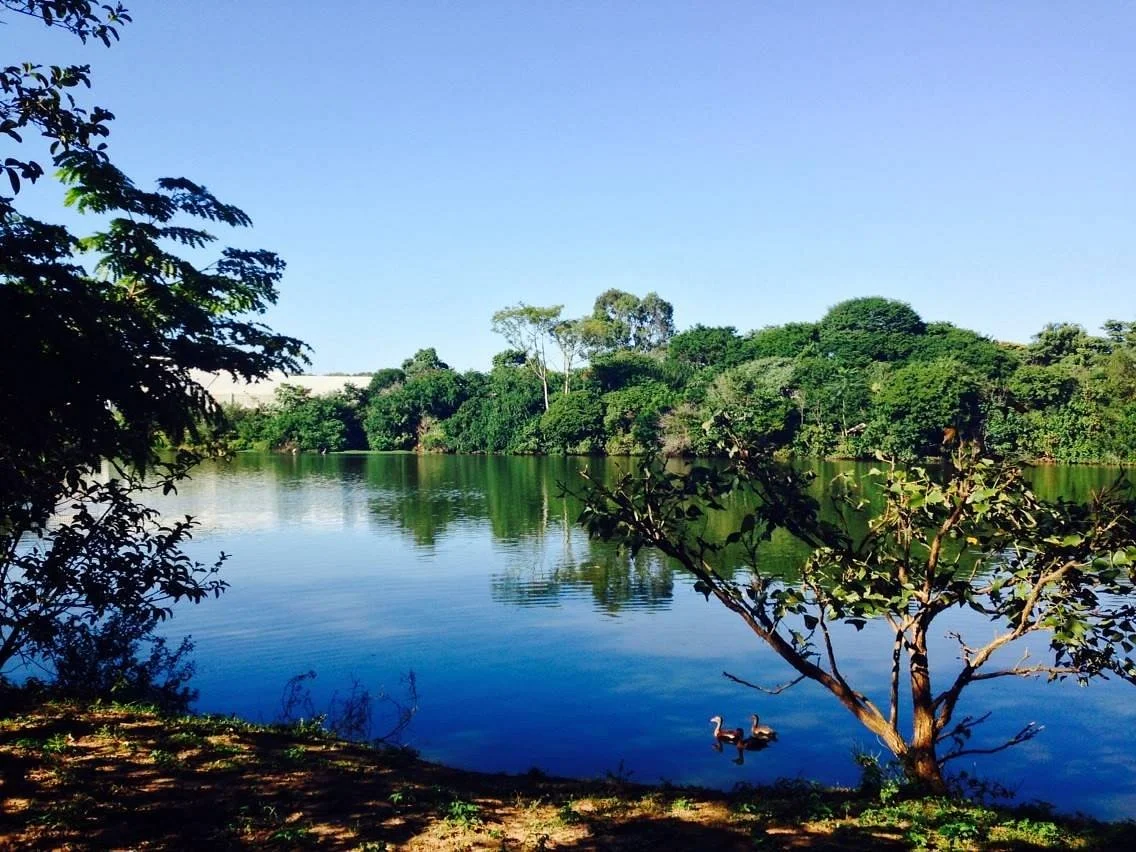 Parque Ecologico Prof. Hermogenes de Freitas