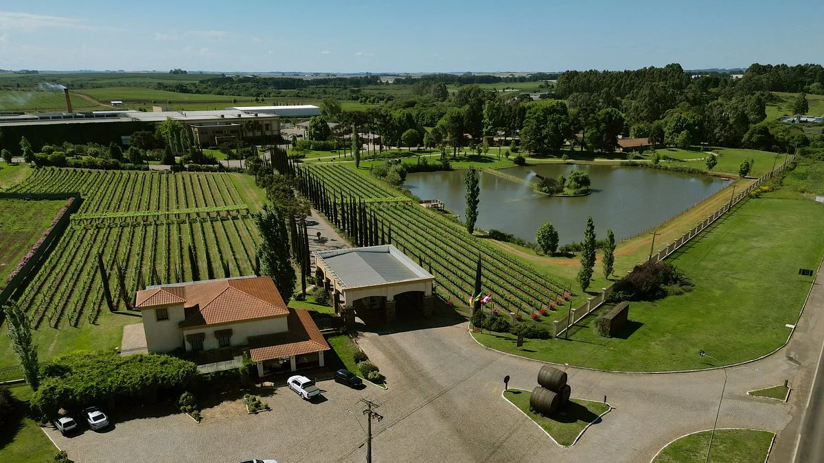Vinícola Campestre