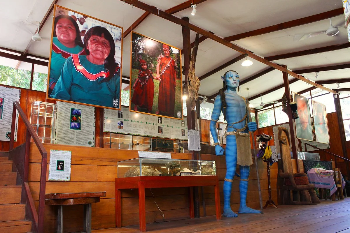 Museo De Ayahuasca