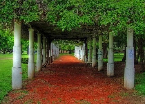Parque Alem