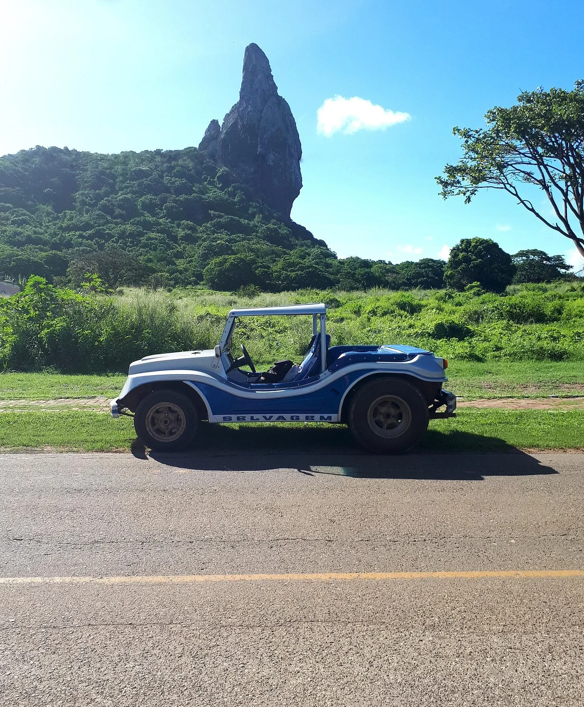 Locadora Oceânica NORONHA