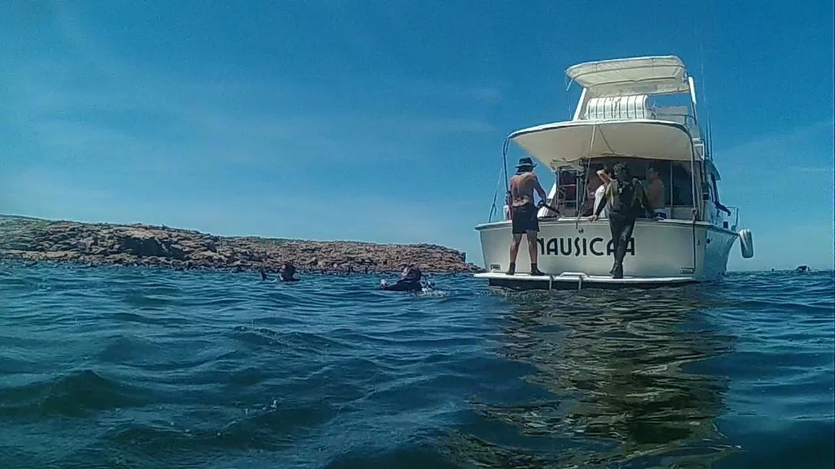 Scuba Divers Uruguay