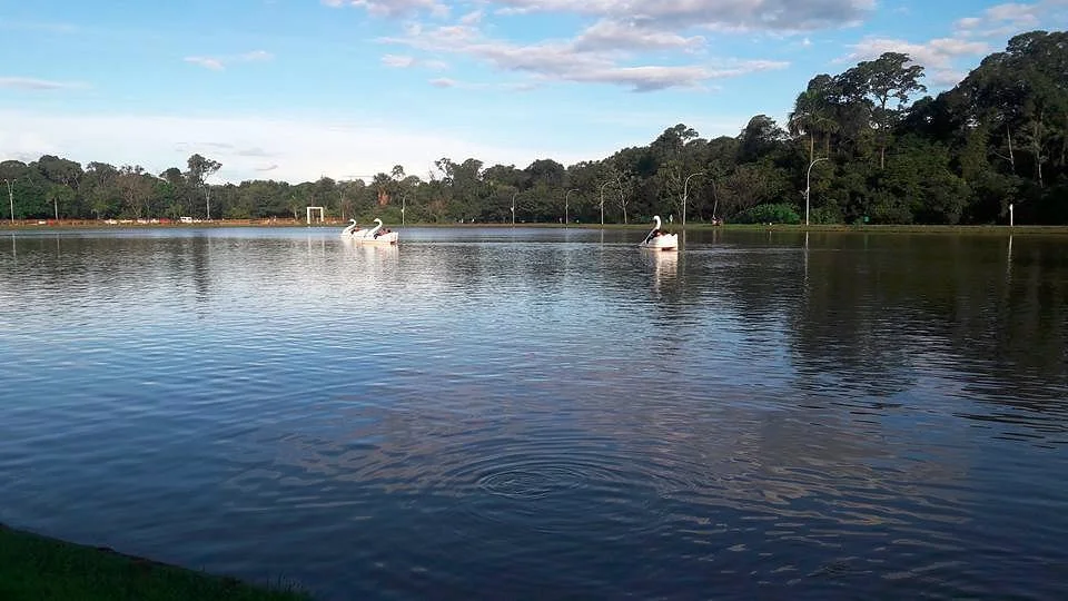 Parque de Buritis