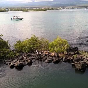 galapagos frontier