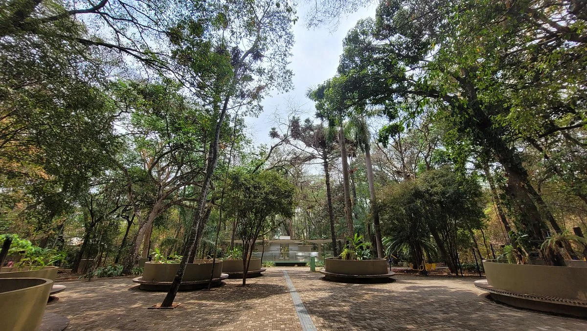 Bosque Municipal John Kennedy