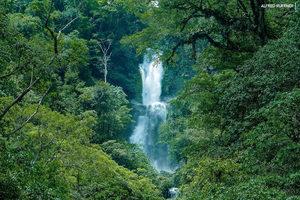 Tierra Verde