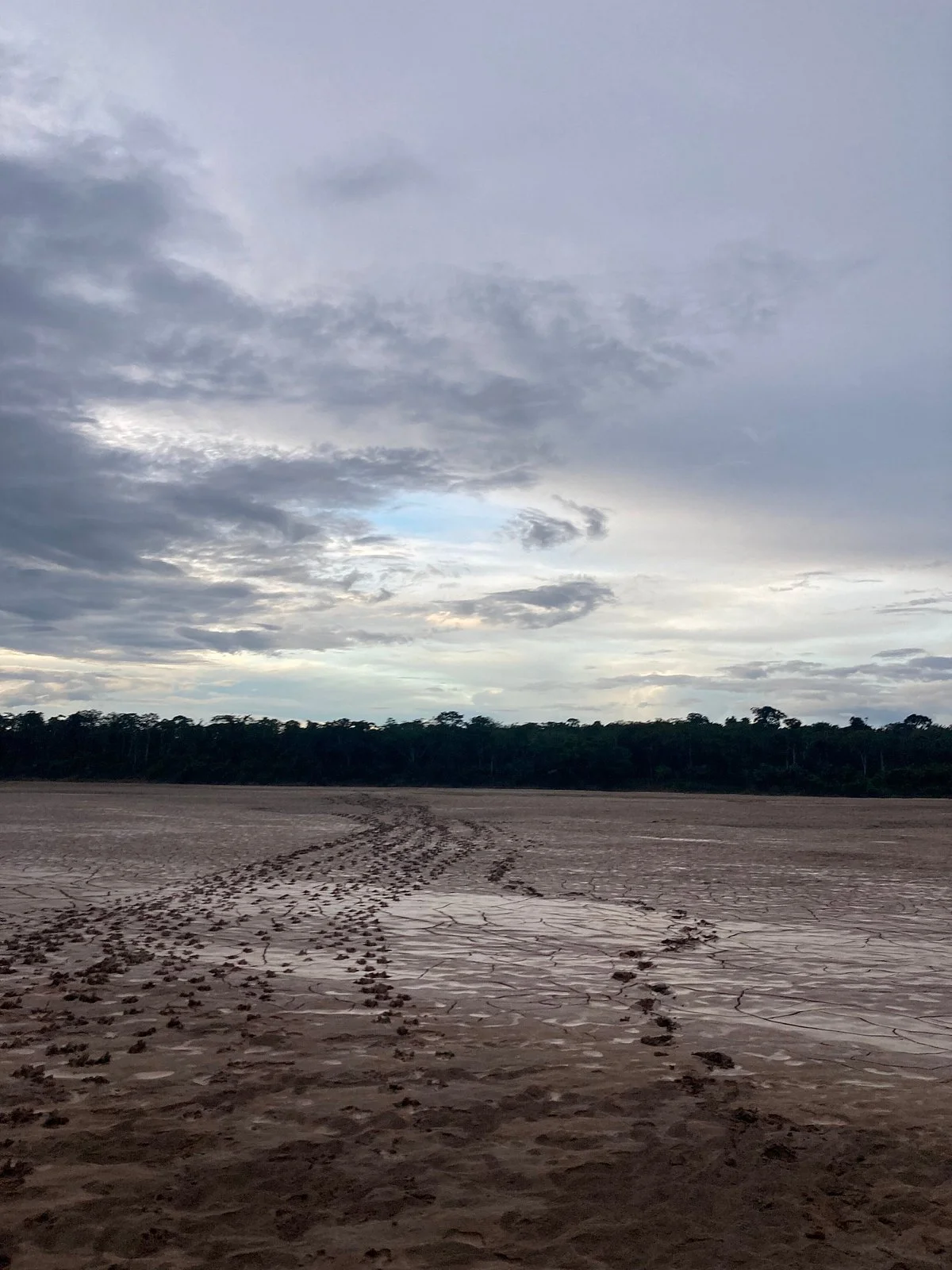 La Base Tambopata