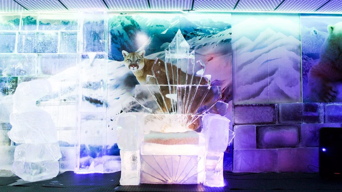Ice Bar Brasil